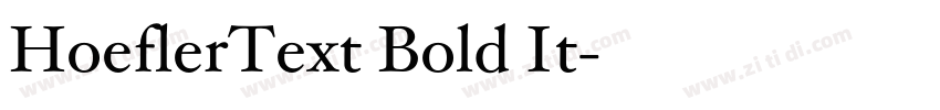 HoeflerText Bold It字体转换